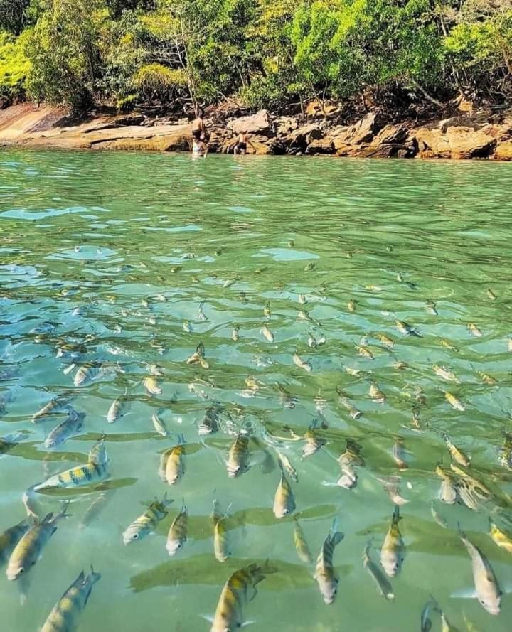 Praia Grande Ubatuba Casa Nova 5D Zewnętrze zdjęcie